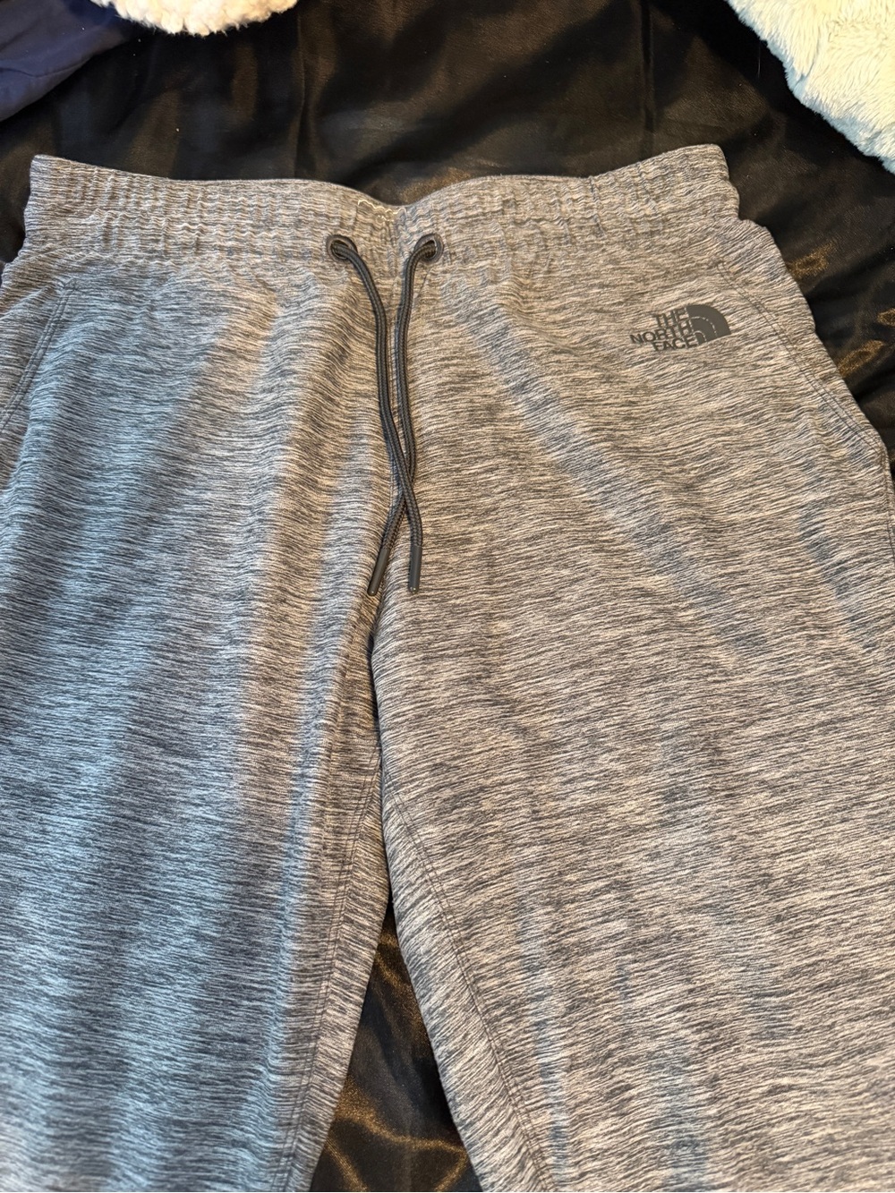 The North Face Gray Heather Women's Jogger Track Pants